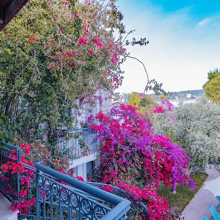 Moonshine Bodrum